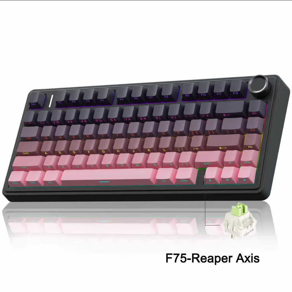 F75 2.4G Wireless, Bluetooth, and Wired Gaming Mechanical Keyboard with RGB Lighting, Customized 75% Layout, OEM Profile, and Gasket Structure