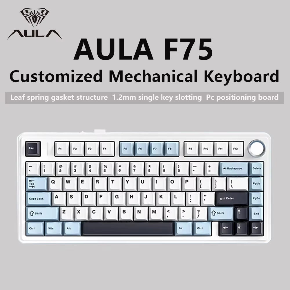 F75 2.4G Wireless, Bluetooth, and Wired Gaming Mechanical Keyboard with RGB Lighting, Customized 75% Layout, OEM Profile, and Gasket Structure
