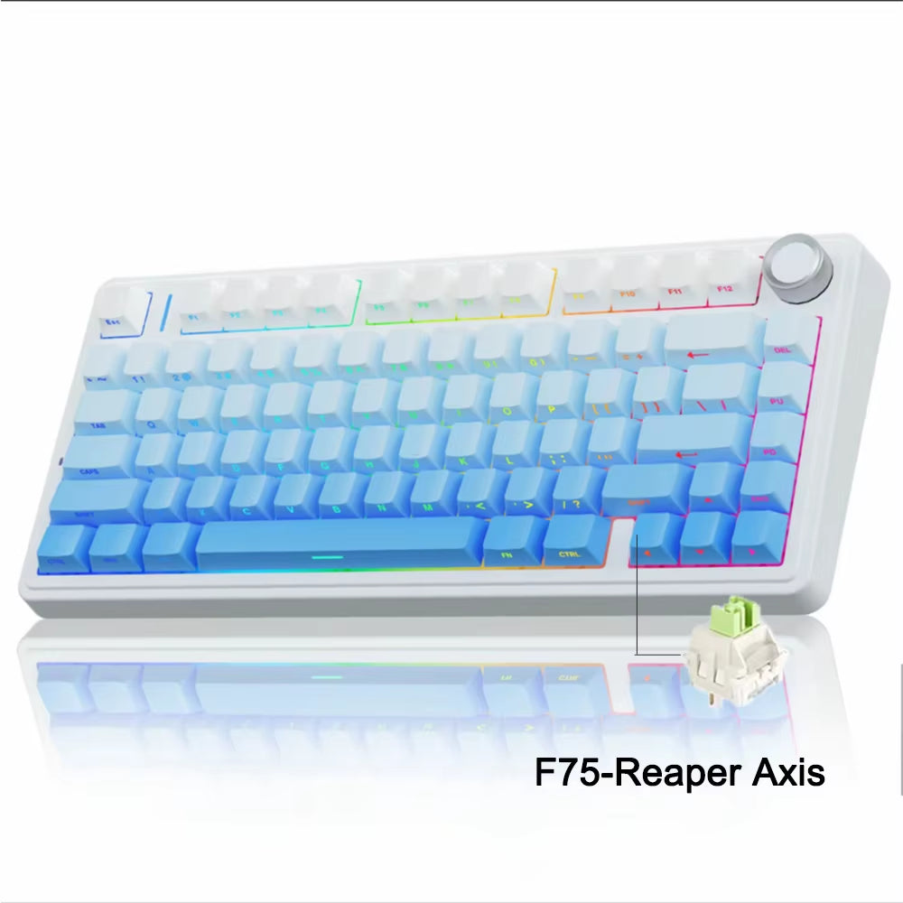 F75 2.4G Wireless, Bluetooth, and Wired Gaming Mechanical Keyboard with RGB Lighting, Customized 75% Layout, OEM Profile, and Gasket Structure