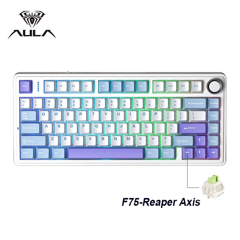 F75 2.4G Wireless, Bluetooth, and Wired Gaming Mechanical Keyboard with RGB Lighting, Customized 75% Layout, OEM Profile, and Gasket Structure